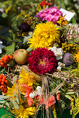 포토 JPG 해외이미지 식물 계절 꽃 꽃다발 백그라운드 오렌지 자연 국화 이벤트 사람없음 장식 빨간색 초록색 여름 컬러풀 노란색 정원 수확 벚꽃 가을 신선 개화 사과 다발 민트 허브 데이지 보리 도토리 수국 엉겅퀴 구성 캐모마일 해외202004 해외포토 컬러 농업 과일 곡류 견과류 생태계 파일형식 이미지허브