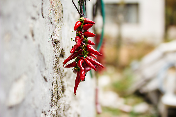 포토 JPG 해외이미지 식물 음식 백그라운드 채소 재료 자연 고추 피망 파프리카 건강 요리 사람없음 빨간색 우주 추위 수확 신선 뜨거움 양념 맛 향신료 오브젝트 유기농 매움 향료 후추 칠레 숙성 해외202004 해외포토 웰빙 컬러 컨셉 농업 남아메리카 생태계 향기 냄새 향미료 파일형식 이미지허브