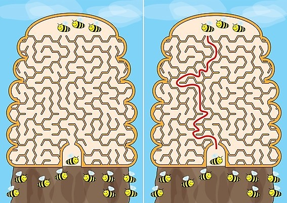 EPS 해외이미지 교육 길 어린이 일러스트 게임 퍼즐 만화 그림 미로 해결 벌집 구성 쉬운 해외202004 해외일러스트 놀이 사람 파일형식 벡터 이미지허브