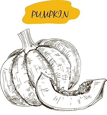 EPS 해외이미지 조각 채소 과일 일러스트 호박 잉크 육류 씨앗 할로윈 수확 가을 신선 낙서 스케치 자르기 피부 그림 에코 판화 채식주의자 비건 해외202004 해외일러스트 식물 계절 농업 식재료 모션 미술 신체부위 환경 채식 파일형식 벡터 이미지허브