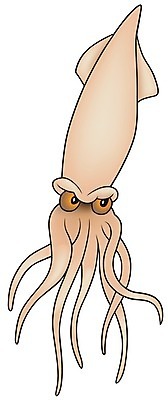 EPS 해외이미지 클립아트 동물 바다 일러스트 연체동물 수중 만화 자르기 오징어 그림 코믹 손그림 촉수 고립 세피아 해외202004 해외일러스트 모션 무척추동물 촬영기법 수중동물 파일형식 벡터 이미지허브