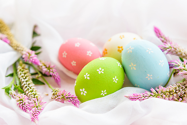 포토 JPG 해외이미지 전통 디자인 계절 꽃 행복 음식 분홍색 백그라운드 컨셉 패턴 자연 탁자 휴가 부활절 사람없음 목재 장식 초록색 파란색 컬러풀 노란색 바구니 우주 계란 페인트 봄 수확 흰색 시골 축하 신용카드 그리기 그룹 둥지 정상 4월 심볼 질감 내추럴 해외202004 해외포토 나무 식물 기념일 감정 컬러 가구 무늬 농업 재료 모션 금융 알 날짜 생태계 파일형식 이미지허브