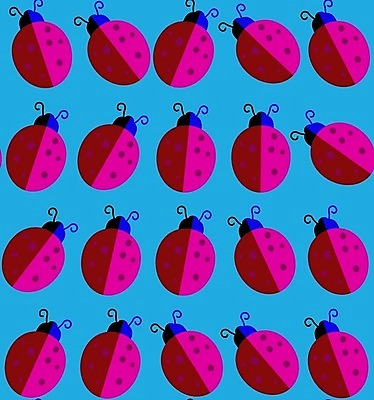 EPS 해외이미지 식물 동물 행복 야생동물 곤충 백그라운드 일러스트 자연 미술 여름 흰색 닫기 벌레 작음 만화 딱정벌레 생물학 무당벌레 광택 해외202004 해외일러스트 계절 교육 감정 컬러 모션 문화예술 크기 생태계 파일형식 벡터 이미지허브