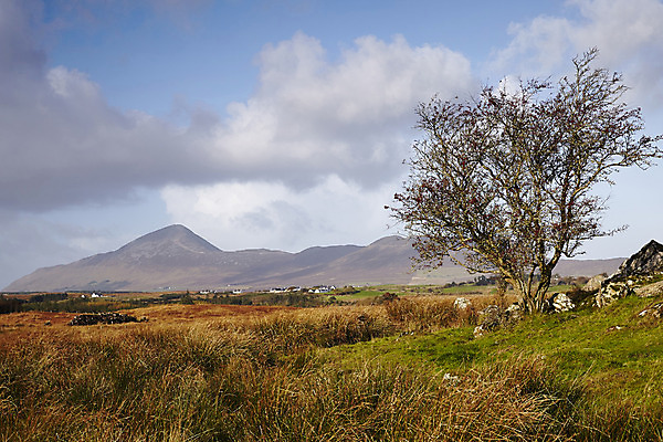포토 JPG 해외이미지 구름 모래 바다 여행 하늘 산 주택 풍경 사람없음 초록색 물 여름 파란색 햇빛 맑음 바위 흰색 정상 버리기 언덕 아일랜드 마요네즈 변소 서쪽 순례 옛날 해외202004 해외포토 자연요소 계절 유럽 컬러 모션 날씨 건물 태양 돌_바위 소스_음식 방향 파일형식 이미지허브