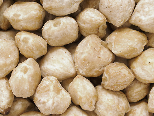 포토 JPG 해외이미지 음식 백그라운드 재료 건조 사람없음 가로 견과류 흰색 조미료 인도인 향신료 날것 인도네시아 성분 말레이시아 생식 해외202004 해외포토 외국인 아시아 컬러 동양인 향미료 파일형식 이미지허브