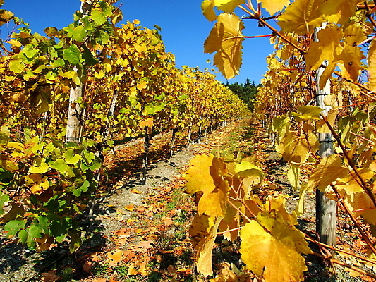 포토 JPG 해외이미지 사람없음 해외202004 해외포토 파일형식 이미지허브