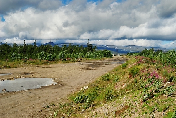 포토 JPG 해외이미지 구름 도로 잎 자연 풍경 사람없음 야외 목재 초록색 여름 숲 언덕 방법 자취 해외202004 해외포토 자연요소 나무 식물 계절 길 컬러 재료 교통시설 생태계 파일형식 이미지허브