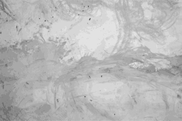 EPS 해외이미지 디자인 종이 벽 백그라운드 패턴 일러스트 건축양식 벽지 표면 날씨 추상 바닥 야외 내부 건물 우주 페인트 공백 방 회색 수확 바위 흰색 도시 얼룩 거친 부식 질감 복고 시멘트 고체 구식 그런지 석고 옛날 콘크리트 해외202004 해외일러스트 건축물 건축 컬러 무늬 농업 돌_바위 파일형식 벡터 이미지허브