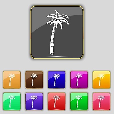 EPS 해외이미지 나무 식물 디자인 실루엣 바다 섬 여행 백그라운드 컨셉 잎 일러스트 자연 추상 휴식 열대 손바닥 미술 야외 그래픽 물 여름 픽토그램 태양 라벨 흰색 나뭇가지 낙서 인쇄 만화 심볼 사인 휴양지 하와이 코코넛 고립 생태학 이국적 하와이인 해외202004 해외일러스트 자연요소 외국인 손 계절 교육 컬러 무늬 과일 문화예술 프레임 촬영기법 미국 장소 생태계 파일형식 벡터 이미지허브