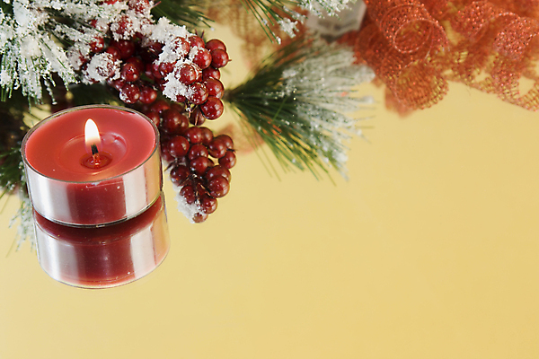 포토 JPG 해외이미지 열매 크리스마스 사람없음 장식 빨간색 빛 반사 우주 나뭇가지 황금 활 전나무 카피스페이스 해외202004 해외포토 나무 식물 기념일 컬러 공백 파일형식 이미지허브