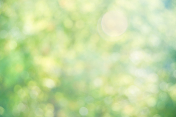 포토 JPG 해외이미지 나무 식물 계절 백그라운드 잎 패턴 자연 추상 불꽃 사람없음 야외 장식 초록색 여름 빛 햇빛 태양 노란색 우주 맑음 봄 활발 신선 점 원형 소프트포커스 질감 보케 문학 부드러움 노려봄 내추럴 광 블러 현상 효과 해외202004 해외포토 자연요소 도형 컬러 컨셉 무늬 불 날씨 촬영기법 표정 감각 생태계 파일형식 이미지허브