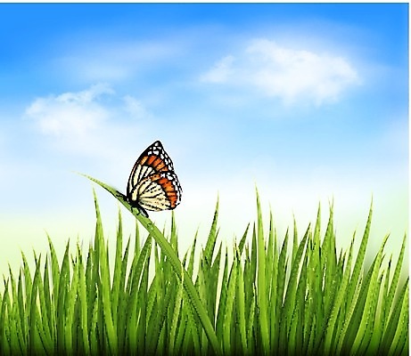 EPS 해외이미지 식물 공원 스포츠 백그라운드 잎 패턴 밭 일러스트 자연 벽지 놀이 추상 프레임 잔디 야외 가로 초록색 환경 봄 활발 신선 보호 땅 허브 원예 질감 심플 각도 내추럴 고립 해외202004 해외일러스트 계절 공공시설 컬러 컨셉 무늬 농업 취미 생태계 파일형식 벡터 이미지허브