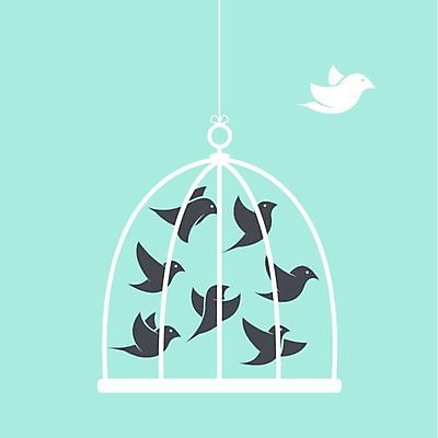 EPS 해외이미지 동물 디자인 실루엣 백그라운드 컨셉 날개 일러스트 자연 조류 주택 매달리기 그래픽 파란색 울타리 반려동물 금속 검은색 자유 수확 흰색 오픈 둥지 탈출 감옥 깃털 오브젝트 싱글 그림 복고 부리 참새 철사 새장 고립 독립 생존 해외202004 해외일러스트 컬러 농업 모션 재질 촬영기법 건물 담장 생태계 케이지 파일형식 벡터 이미지허브