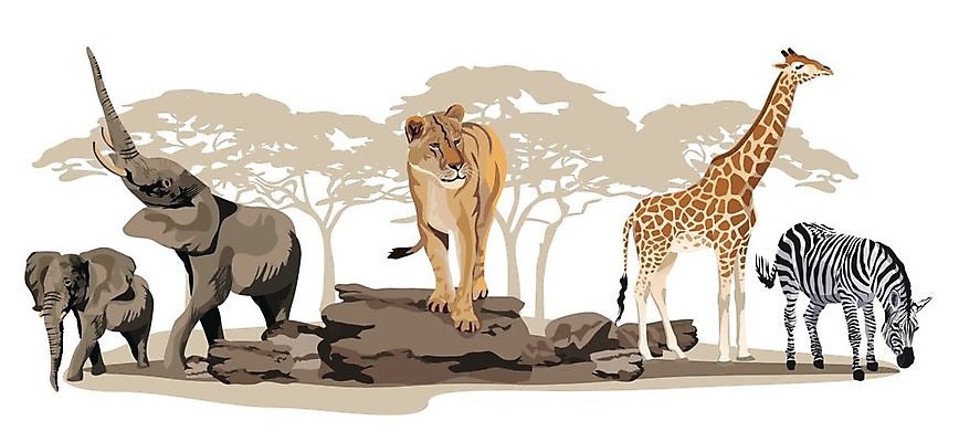 EPS 해외이미지 클립아트 나무 식물 동물 공원 야생동물 여행 패턴 일러스트 포유류 아프리카 자연 휴가 코끼리 미술 풍경 검은색 흰색 호랑이 사자 땅 기린 사파리 대륙 그림 클립 얼룩말 내추럴 고립 동물상 사바나 이국적 해외202004 해외일러스트 공공시설 나라 컬러 무늬 문화예술 조형물 말_동물 생태계 파일형식 벡터 이미지허브