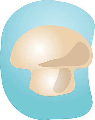 포토 JPG 해외이미지 클립아트 음식 채소 일러스트 버튼 건강 요리 사람없음 파란색 버섯 신선 스케치 그림 복고 날것 손그림 성분 해외202004 해외포토 컬러 미술 파일형식 이미지허브