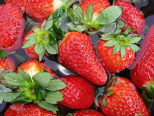 포토 JPG 해외이미지 음식 과일 딸기 디저트 건강 사람없음 빨간색 초록색 신선 달콤 상쾌 베리 건강식 정물화 해외202004 해외포토 감정 컬러 맛 그림 파일형식 이미지허브