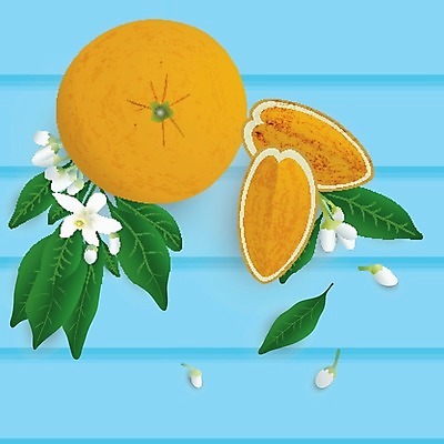 EPS 해외이미지 꽃 음식 줄기 조각 백그라운드 잎 다이어트 오렌지 과일 일러스트 부분 자연 디저트 귤 건강 목재 여름 파란색 활발 흰색 신선 원형 맛 먹기 유기농 질감 날것 내추럴 숙성 채식주의자 비건 해외202004 해외일러스트 도형 나무 식물 웰빙 계절 컬러 컨셉 재료 모션 생태계 채식 파일형식 벡터 이미지허브