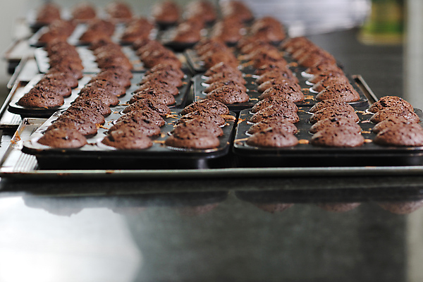 포토 JPG 해외이미지 실내 사람없음 아웃포커스 일렬 머핀 머핀틀 초콜릿머핀 많음 해외202004 해외포토 빵 컨셉 촬영기법 내부 파일형식 이미지허브