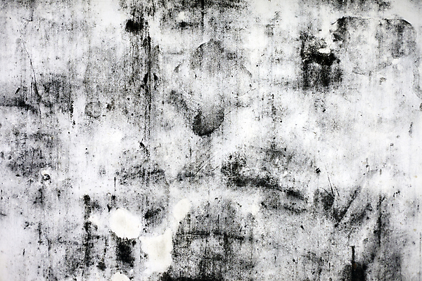 포토 JPG 해외이미지 디자인 벽 조각 백그라운드 패턴 부분 표면 날씨 추상 사람없음 야외 검은색 손상 회색 바위 흰색 도시 점 얼룩 거친 그리기 파편 묘사 질감 시멘트 먼지 안심 구식 그런지 단절 블러 옛날 콘크리트 해외202004 해외포토 컬러 컨셉 무늬 모션 육류 돌_바위 파일형식 이미지허브