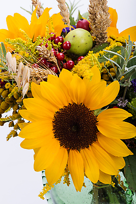포토 JPG 해외이미지 식물 계절 꽃 꽃다발 백그라운드 오렌지 자연 해바라기 국화 옥수수 이벤트 사람없음 장식 빨간색 초록색 여름 컬러풀 노란색 정원 수확 벚꽃 가을 신선 개화 다발 민트 허브 데이지 보리 도토리 양귀비 수국 엉겅퀴 구성 캐모마일 해외202004 해외포토 컬러 농업 과일 곡류 견과류 생태계 파일형식 이미지허브