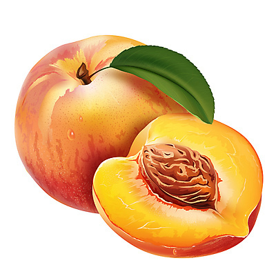 포토 JPG 해외이미지 과일 일러스트 사람없음 복숭아 해외202004 해외포토 파일형식 이미지허브