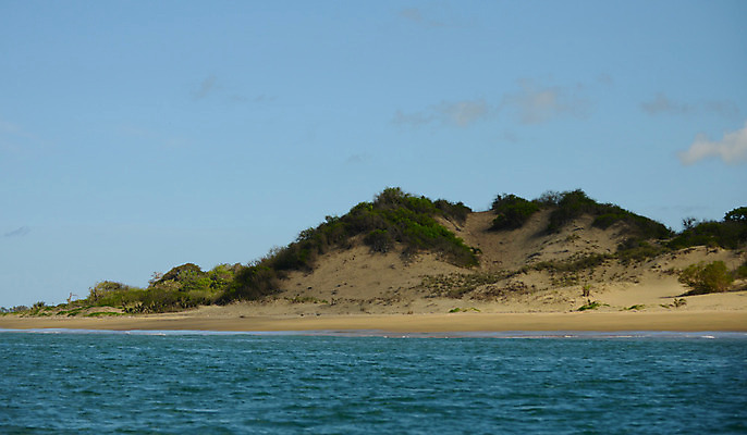 포토 JPG 해외이미지 나무 자연 사람없음 초록색 평화 신선 행운 황무지 중앙아메리카 신비 열대우림 순수 생태계 내추럴 파나마 해외202004 해외포토 식물 컬러 컨셉 아메리카 남아메리카 숲 파일형식 이미지허브
