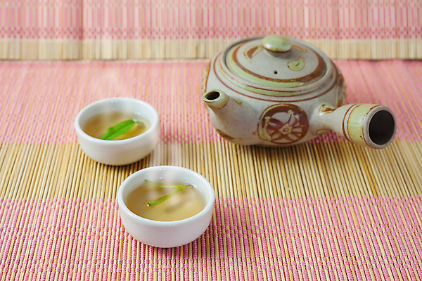 포토 JPG 해외이미지 식물 음료 사람없음 목재 도자기 차 찻잔 찻주전자 녹차 해외202004 해외포토 나무 재료 주전자 잔 차_음료 파일형식 이미지허브