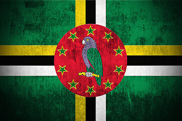 포토 JPG 해외이미지 디자인 별 바다 백그라운드 패턴 일러스트 날씨 사람없음 빨간색 초록색 노란색 검은색 손상 깃발 점 얼룩 거친 심볼 고민 그림 질감 복고 앵무새 캔버스 시들음 애국심 그런지 독립 옛날 전국 해외202004 해외포토 자연요소 감정 컬러 컨셉 무늬 조류 파일형식 이미지허브