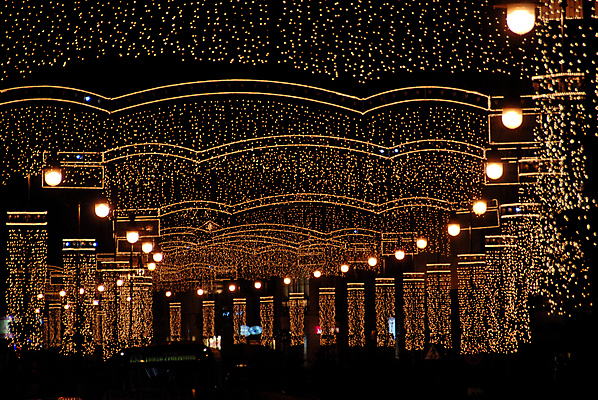 포토 JPG 해외이미지 전통 크리스마스 겨울 전등 사람없음 장식 여행객 도시 야간 광택 구시가지 바르샤바 해외202004 해외포토 자연요소 계절 기념일 조명 사람 폴란드 파일형식 이미지허브