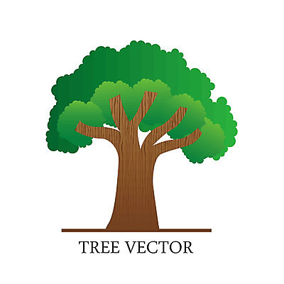 EPS 해외이미지 나무 식물 디자인 계절 실루엣 백그라운드 낙엽 잎 일러스트 자연 미술 초록색 환경 봄 나뭇가지 축하 오브젝트 질감 윤곽 상록수 해외202004 해외일러스트 컬러 컨셉 문화예술 촬영기법 생태계 파일형식 벡터 이미지허브