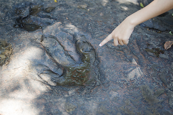 포토 JPG 해외이미지 동물 공원 손가락 자국 파충류 서기 사람없음 바위 아기 인쇄 큼 발자국 큐브 공룡 호기심 트랙 육식동물 화석 선사시대 기간 동물상 선로 쥬라기 강조 해외202004 해외포토 손 공공시설 감정 컨셉 모션 사람 조형물 돌_바위 역사 크기 파일형식 이미지허브
