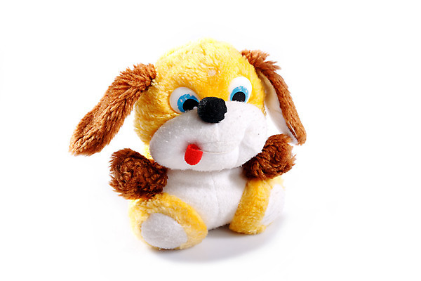 포토 JPG 해외이미지 백그라운드 털 사람없음 장난감 흰색 개 강아지 작음 솜털 고립 옛날 해외202004 해외포토 컬러 포유류 반려동물 크기 파일형식 이미지허브