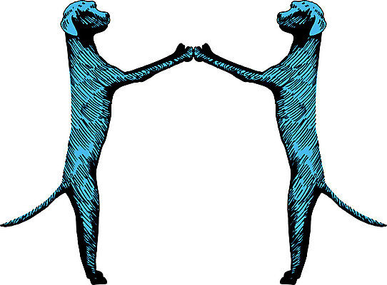 EPS 해외이미지 클립아트 동물 디자인 일러스트 실험 미술 그래픽 장식 책 세트 머리카락 쌍 개 리트리버 래브라도리트리버 꼬리 송곳니 종료 엘리먼트 충고 해외202004 해외일러스트 포유류 문화예술 머리 치아 파일형식 벡터 이미지허브