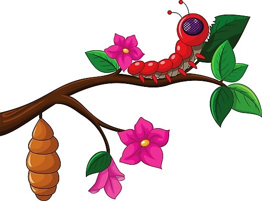 EPS 해외이미지 동물 교육 과학 나비 곤충 잎 날개 일러스트 계란 다양 원형 닫기 둥지 만화 수집 생물학 순환 개발 고립 방법 변태 인구 해외202004 해외일러스트 도형 식물 다수 모션 알 파일형식 벡터 이미지허브