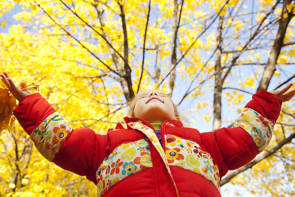 포토 JPG 해외이미지 나무 백인 1 긴머리 계절 공원 행복 어린이 단풍 잎 오렌지 자연 건조 한명 미소 사람 소녀 야외 빨간색 금발 노란색 재킷 가을 흰색 자녀 9월 다발 자연백그라운드 추수감사절 10월 유일 해외202004 해외포토 서양인 식물 헤어스타일 공공시설 여자 감정 기독교 컬러 백그라운드 과일 표정 외투 날짜 생태계 파일형식 이미지허브
