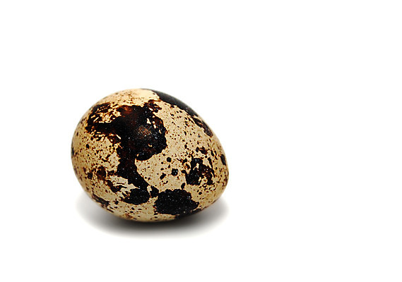 포토 JPG 해외이미지 음식 재료 자연 조류 부활절 사람없음 갈색 계란 치킨 봄 껍질 둥지 아침식사 작음 오브젝트 내추럴 고립 메추리 취급주의 해외202004 해외포토 동물 계절 기념일 컬러 경고 알 식사 크기 생태계 닭고기요리 파일형식 이미지허브