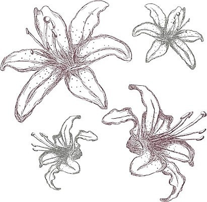 EPS 해외이미지 식물 디자인 꽃 종이 선 꽃다발 잎 꽃무늬 패턴 일러스트 자연 벽지 추상 휴가 기념 선물 미술 그래픽 장식 컬러풀 유행 견본 축제 봄 회색 수확 벚꽃 나뭇가지 축하 직물 인사 커튼 신용카드 그리기 스케치 타일 오브젝트 유기농 질감 생물학 정사각형 냄새 심플 시트 내추럴 고립 엘리먼트 포장소품 스타일 해외202004 해외일러스트 도형 나무 웰빙 계절 교육 컬러 컨셉 무늬 농업 포장 모션 문화예술 금융 예절 생태계 포장재료 파일형식 벡터 이미지허브