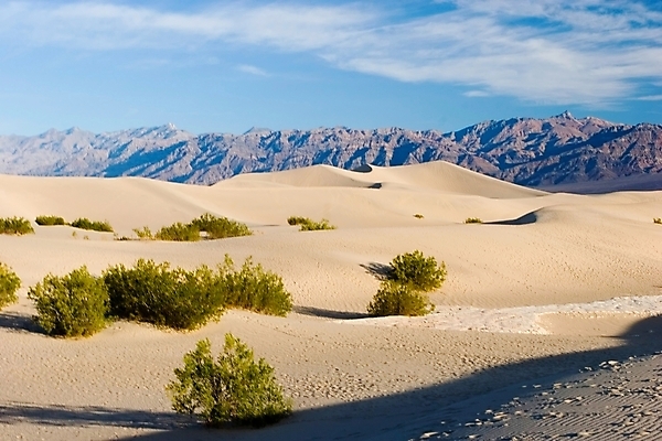 포토 JPG 해외이미지 공원 모래 바다 여행 휴가 산 건조 그림자 풍경 사람없음 야외 환경 계곡 미국 사막 뜨거움 황무지 매끈함 큼 장애물 모래언덕 캘리포니아 온도 멀리 서쪽 어려움 잔물결 전국 해외202004 해외포토 공공시설 물결 북아메리카 감각 크기 방향 언덕 파일형식 이미지허브