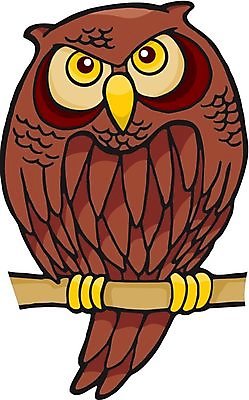 EPS 해외이미지 동물 응시 일러스트 조류 앉기 갈색 나뭇가지 만화 스케치 부엉이 해외202004 해외일러스트 나무 시선 컬러 모션 미술 파일형식 벡터 이미지허브