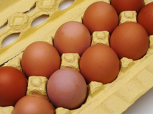 포토 JPG 해외이미지 동물 종이 음료 음식 백그라운드 패턴 재료 포장 자연 조류 부활절 건강 사람없음 가로 상자 농장 갈색 계란 치킨 봄 껍질 흰색 신선 그룹 아침식사 큼 컨테이너 먹기 가득함 오브젝트 싱글 날것 슛 패키지 판지 고립 해외202004 해외포토 계절 기념일 산업 컬러 무늬 농업 모션 알 식사 크기 생태계 닭고기요리 파일형식 이미지허브