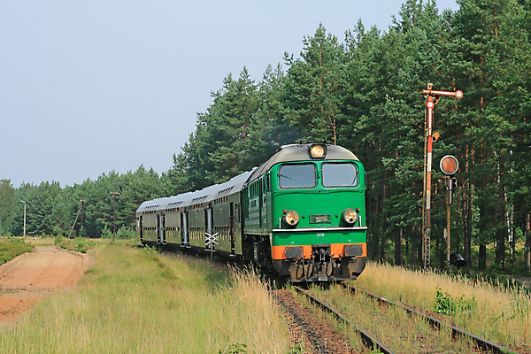 포토 JPG 해외이미지 주간 나무 풍경 초원 사람없음 야외 기찻길 기차 해외202004 해외포토 자연요소 식물 육상교통 대중교통 파일형식 이미지허브