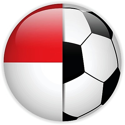 EPS 해외이미지 직업 배너 스포츠 백그라운드 컨셉 스티커 일러스트 축구공 공 놀이 아이디어 경기 그래픽 컵 빨간색 세계 운동 검은색 축구 경쟁 게임 흰색 깃발 원형 가죽 심볼 2014년 브라질 고립 골 모나코 여의주 전국 챔피언 해외202004 해외일러스트 도형 식기 유럽 컬러 축구용품 건강 구기 남아메리카 연도 파일형식 벡터 이미지허브