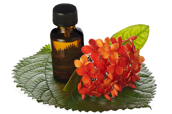 포토 JPG 해외이미지 신체 사람없음 수건 스파 화장품 거품 바위 숲 청소 향기 아로마 비누 스펀지 위생관리 해외202004 해외포토 관리 위생용품 뷰티 돌_바위 냄새 파일형식 이미지허브