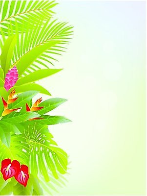 EPS 해외이미지 나무 식물 계절 꽃 야생동물 백그라운드 잎 일러스트 자연 아침 프레임 손바닥 풍경 야외 목재 초록색 여름 태양 환경 봄 숲 신비 열대우림 천국 내추럴 아마존 해외202004 해외일러스트 주간 자연요소 동물 손 컬러 컨셉 재료 생태계 파일형식 벡터 이미지허브