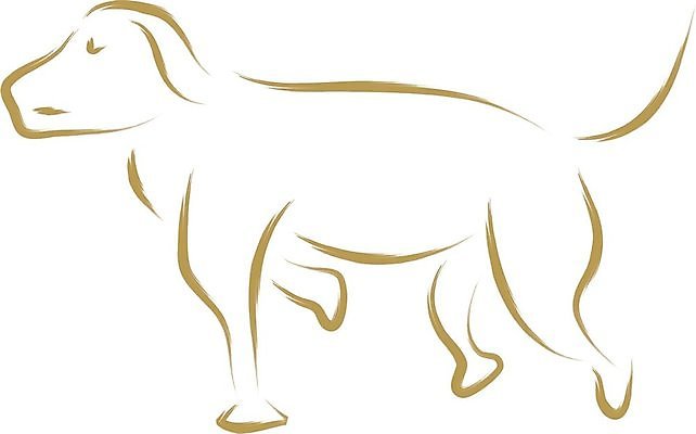 EPS 해외이미지 동물 실루엣 선 포즈 일러스트 포유류 모션 추상 잉크 미술 그래픽 장식 반려동물 페인트 붓 그리기 개 낙서 만화 스케치 심볼 그림 꼬리 사냥 심플 윤곽 육식동물 사냥꾼 활기 송곳니 고립 스타일 해외202004 해외일러스트 직업 컨셉 무늬 문화예술 촬영기법 치아 파일형식 벡터 이미지허브