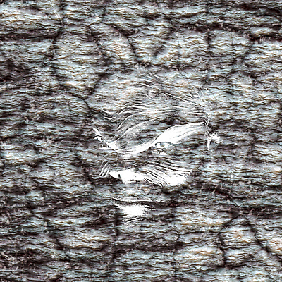 포토 JPG 해외이미지 디자인 백그라운드 무늬 패턴 일러스트 자연 벽지 표면 날씨 추상 사람없음 어둠 힘 회색 수확 바위 점 거친 균열 악마 질감 먼지 내추럴 고체 그런지 석회암 콘크리트 화강암 해외202004 해외포토 컬러 농업 모션 암석 돌_바위 생태계 파일형식 이미지허브