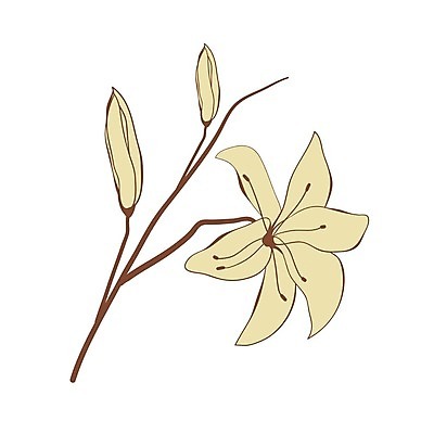 EPS 해외이미지 꽃잎 꽃 실루엣 종이 꽃다발 백그라운드 꽃무늬 일러스트 추상 잉크 프레임 그래픽 라벨 페인트 수확 골동품 인사 점 얼룩 신용카드 투명 생일 개화 떨어짐 백합 스케치 허브 복고 비네팅 구식 빅토리아 세피아 노화 해외202004 해외일러스트 식물 기념일 컨셉 무늬 농업 촬영기법 미술 금융 예절 파일형식 벡터 산업 문화예술 이벤트 경제 이미지허브