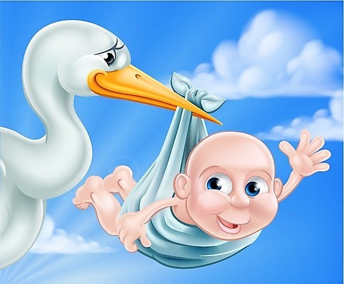 EPS 해외이미지 클립아트 동물 캐릭터 행복 아들 어린이 백그라운드 일러스트 조류 새로움 기념 사랑 미술 소년 그래픽 파란색 임신 흰색 축하 아기 신생아 인사 잡기 출산 신용카드 발표 생일 만화 도착 배송 기중기 그림 부리 적재 고립 샤워실 황새 해외202004 해외일러스트 일러캐릭터 기념일 남자 감정 컬러 컨셉 가족 모션 문화예술 사람 금융 예절 중장비 샤워시설 파일형식 벡터 이미지허브