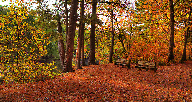포토 JPG 해외이미지 계절 공원 여행 잎 자연 파노라마 풍경 사람없음 야외 물 여름 강 컬러풀 평화 골짜기 미국 침묵 봄 활발 폭포 가을 개울 황무지 매끈함 숲 그림 역동적 지역 내추럴 강렬 해외202004 해외포토 자연요소 식물 공공시설 컬러 컨셉 북아메리카 촬영기법 소리 감각 생태계 파일형식 이미지허브