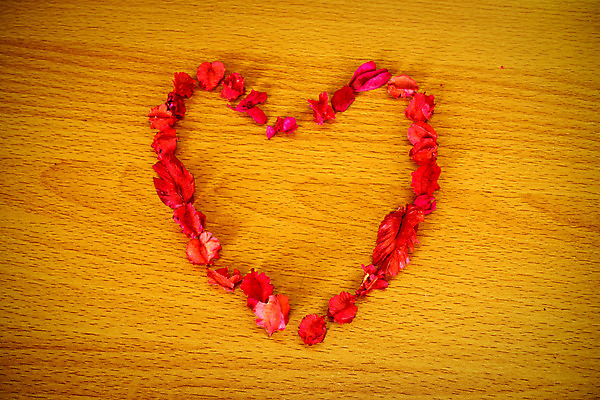 포토 JPG 해외이미지 모양 식물 디자인 계절 꽃 분홍색 꽃다발 결혼 백그라운드 컨셉 꽃무늬 패턴 자연 건조 발렌타인데이 사랑 사람없음 목재 빨간색 장미 갈색 노란색 우주 봄 신혼여행 벚꽃 흰색 하트 신용카드 닫기 심볼 묘사 싱글 내추럴 생태학 해외202004 해외포토 나무 교육 감정 컬러 무늬 재료 모션 데이이벤트 이벤트 금융 생태계 파일형식 이미지허브